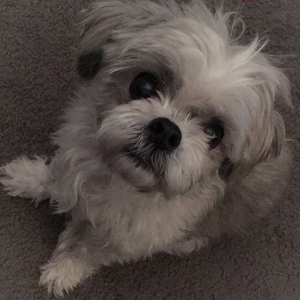 Fundraising Page: Leila Burch